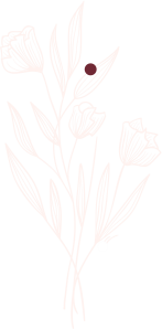 WDR-10-2.png WDR-10-2.png